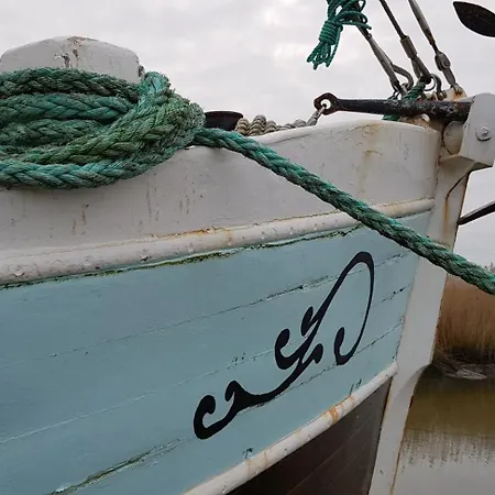 Küstenjunge Ebbe * Wurster Nordseekuste